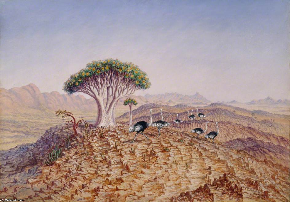 Wikioo.org - The Encyclopedia of Fine Arts - Painting, Artwork by Thomas Baines - The Great Tree-aloe Of Damaraland
