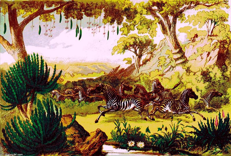 Wikioo.org - The Encyclopedia of Fine Arts - Painting, Artwork by Thomas Baines - Zebra