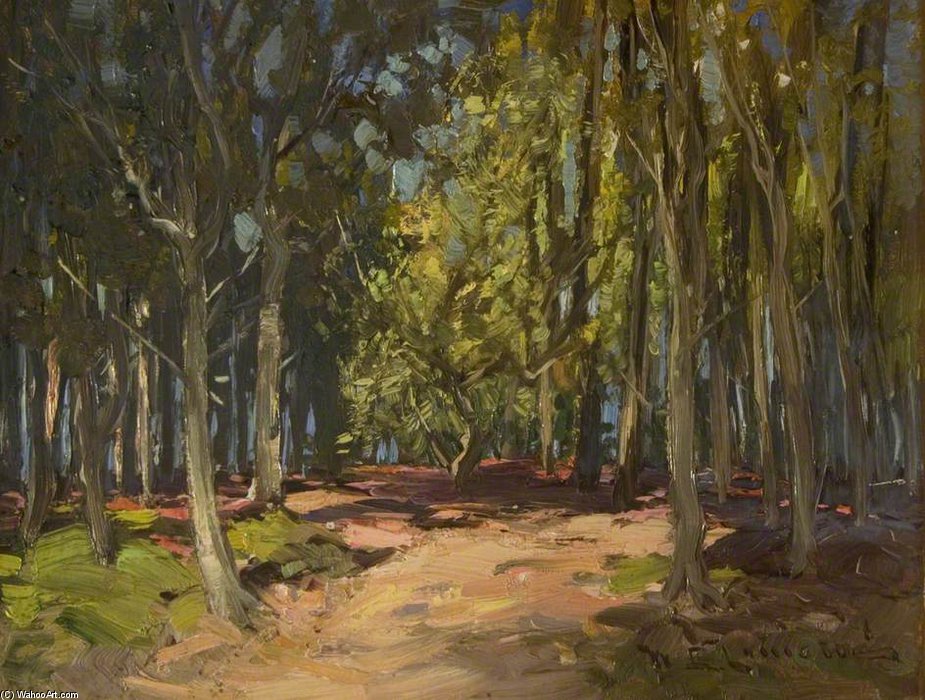 WikiOO.org - Encyclopedia of Fine Arts - Malba, Artwork William Bradley Lamond - Forest Track