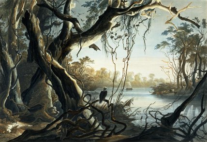 WikiOO.org - Encyclopedia of Fine Arts - Schilderen, Artwork Karl Bodmer - The Mouth Of The Fox River