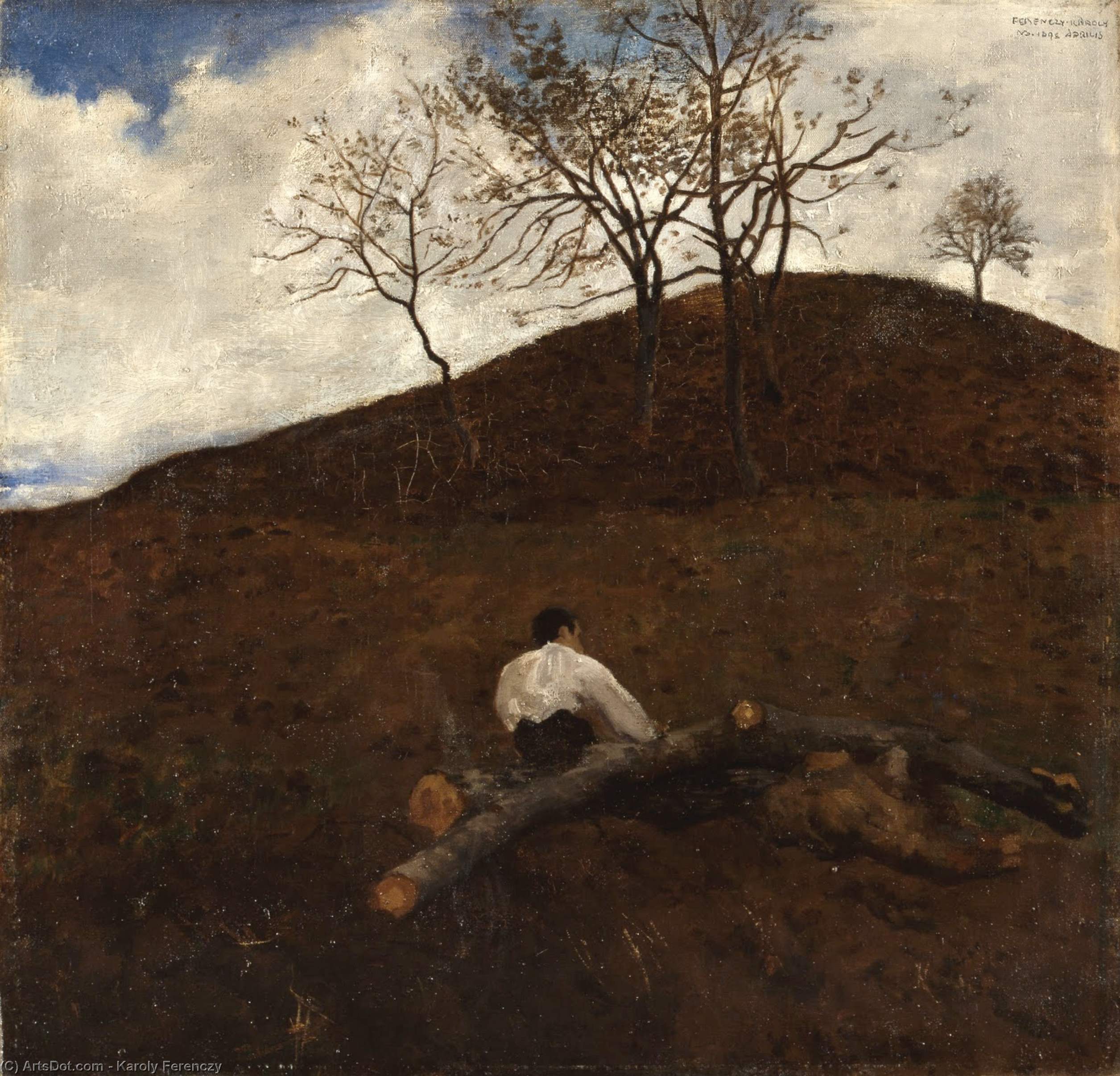 Wikioo.org - The Encyclopedia of Fine Arts - Painting, Artwork by Karoly Ferenczy - Landscape In Springtime With The Flower Hill