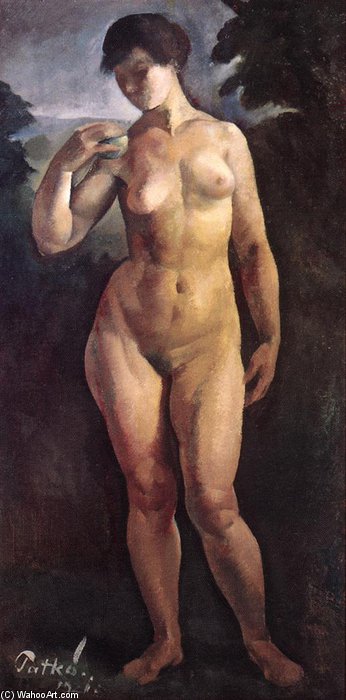 WikiOO.org - Encyclopedia of Fine Arts - Maľba, Artwork Karoly Patko - Nude