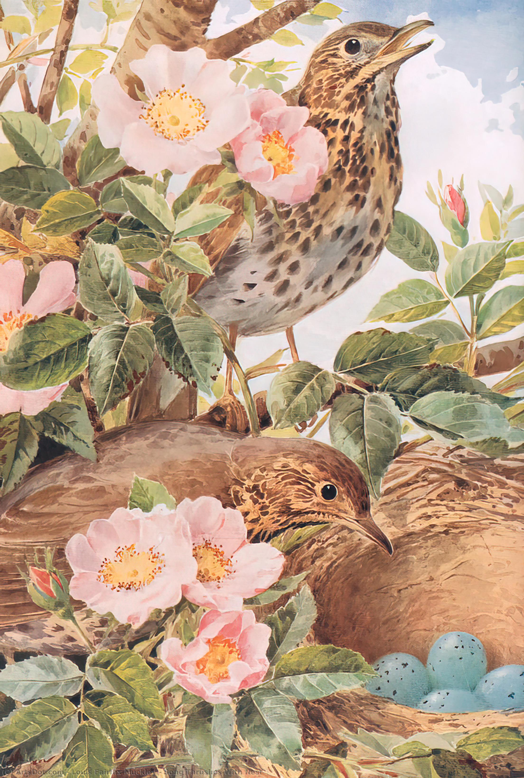 Wikioo.org - The Encyclopedia of Fine Arts - Painting, Artwork by Louis Fairfax Muckley - Song Thrushes With Nest