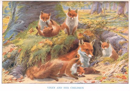 Wikioo.org - The Encyclopedia of Fine Arts - Painting, Artwork by Louis Fairfax Muckley - Vixen And Her Children