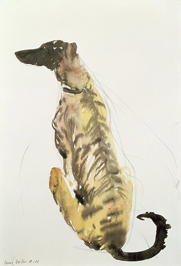 Wikioo.org - The Encyclopedia of Fine Arts - Painting, Artwork by Lucy Willis - Lurcher Sitting