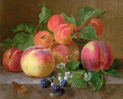 Wikioo.org - The Encyclopedia of Fine Arts - Painting, Artwork by Henriette Ronner Knip - Still Life Of Peaches
