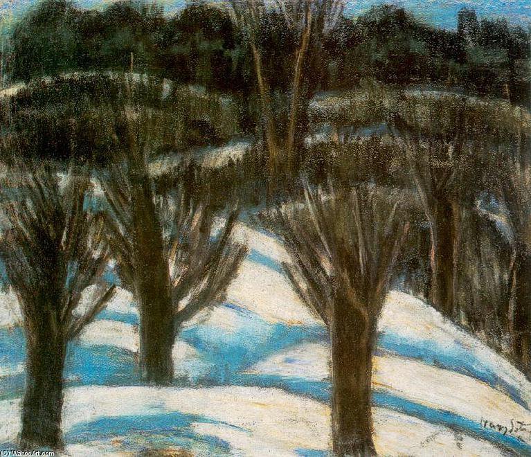 Wikioo.org - สารานุกรมวิจิตรศิลป์ - จิตรกรรม Istvan Nagy - Snowy Landscape