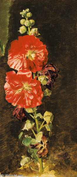 Wikioo.org - The Encyclopedia of Fine Arts - Painting, Artwork by Jacob Gensler - A Stockrose