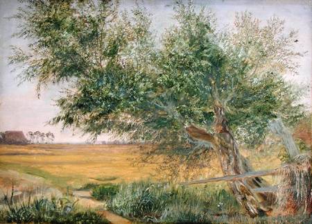 Wikioo.org - The Encyclopedia of Fine Arts - Painting, Artwork by Jacob Gensler - The Old Tree