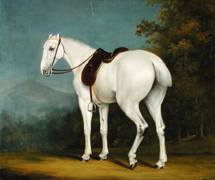 WikiOO.org - Enciklopedija likovnih umjetnosti - Slikarstvo, umjetnička djela Jacques Laurent Agasse - A Lady's Grey Hunter, C.1806