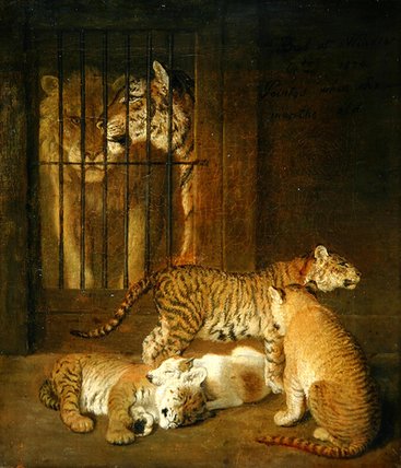 Wikoo.org - موسوعة الفنون الجميلة - اللوحة، العمل الفني Jacques Laurent Agasse - Group Of Whelps Bred Between A Lion And A Tigress,