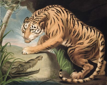 Wikoo.org - موسوعة الفنون الجميلة - اللوحة، العمل الفني James Northcote - Tiger And Crocodile, Engraved