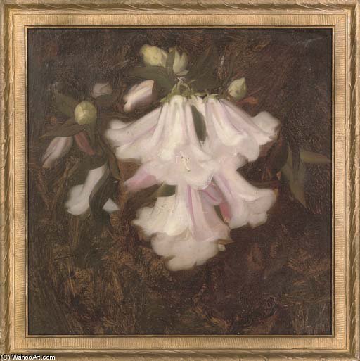 Wikioo.org - The Encyclopedia of Fine Arts - Painting, Artwork by James Stuart Park - Flower Study