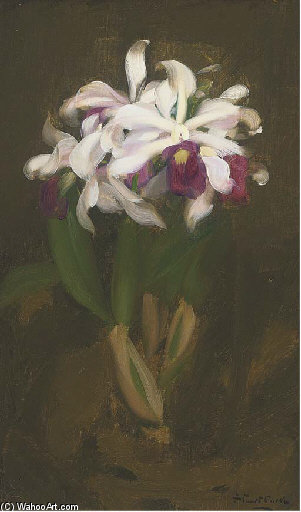 WikiOO.org - Enciklopedija likovnih umjetnosti - Slikarstvo, umjetnička djela James Stuart Park - Oriental Lilies