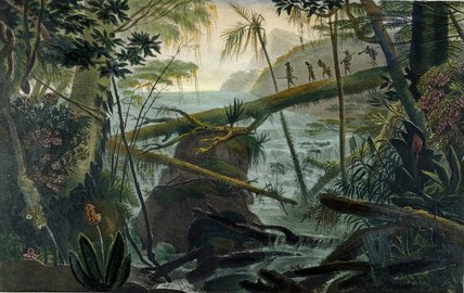WikiOO.org - Енциклопедия за изящни изкуства - Живопис, Произведения на изкуството Jean Baptiste Debret - Indians Using A Fallen Tree-trunk To Cross