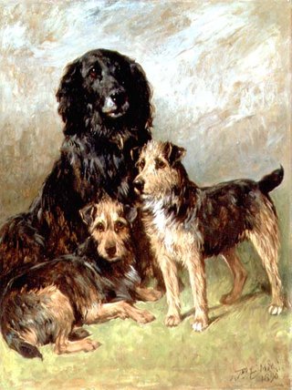 Wikioo.org - สารานุกรมวิจิตรศิลป์ - จิตรกรรม John Emms - Family Pets