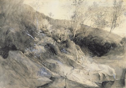 Wikioo.org - The Encyclopedia of Fine Arts - Painting, Artwork by John Ruskin - The Rocky Bank Of A River