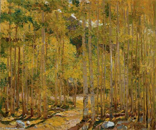 Wikioo.org – La Enciclopedia de las Bellas Artes - Pintura, Obras de arte de Joseph Henry Sharp - Taos bosque -