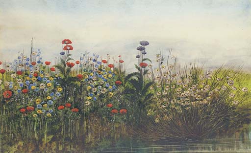 WikiOO.org - Encyclopedia of Fine Arts - Maľba, Artwork Andrew Nicholl - Poppies, Buttercups And Daisies