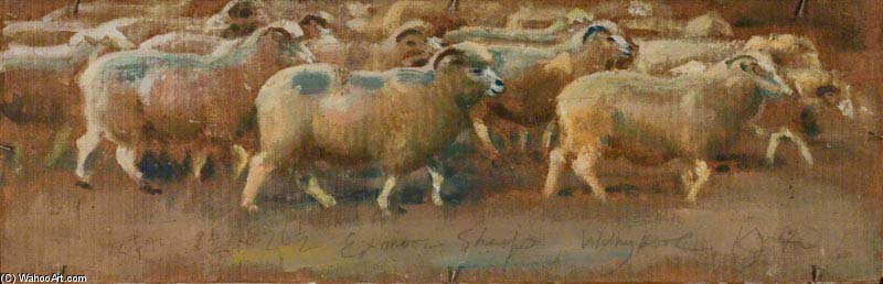 WikiOO.org - Encyclopedia of Fine Arts - Malba, Artwork Alfred James Munnings - Sheep Studies