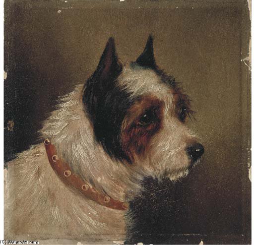 Wikioo.org - The Encyclopedia of Fine Arts - Painting, Artwork by George Armfield (Smith) - The Head Of A Terrier