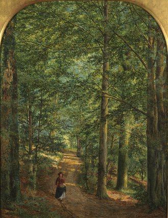 Wikioo.org - สารานุกรมวิจิตรศิลป์ - จิตรกรรม Edmund George Warren - In The Woods