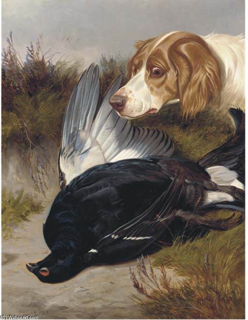 Wikioo.org - The Encyclopedia of Fine Arts - Painting, Artwork by Colin Graeme Roe - A Gundog With A Black Game