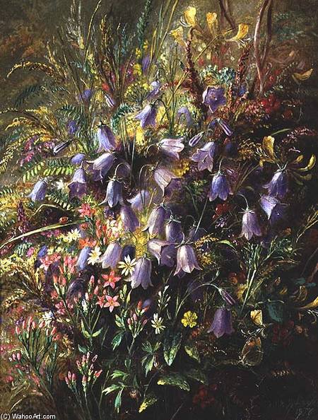 Wikioo.org – La Enciclopedia de las Bellas Artes - Pintura, Obras de arte de Albrecht Durer - Harebells & otros woodland Flores & Gramíneas
