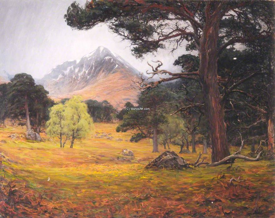 WikiOO.org - Encyclopedia of Fine Arts - Maleri, Artwork Alexander Brownlie Docharty - Cramcach Wood