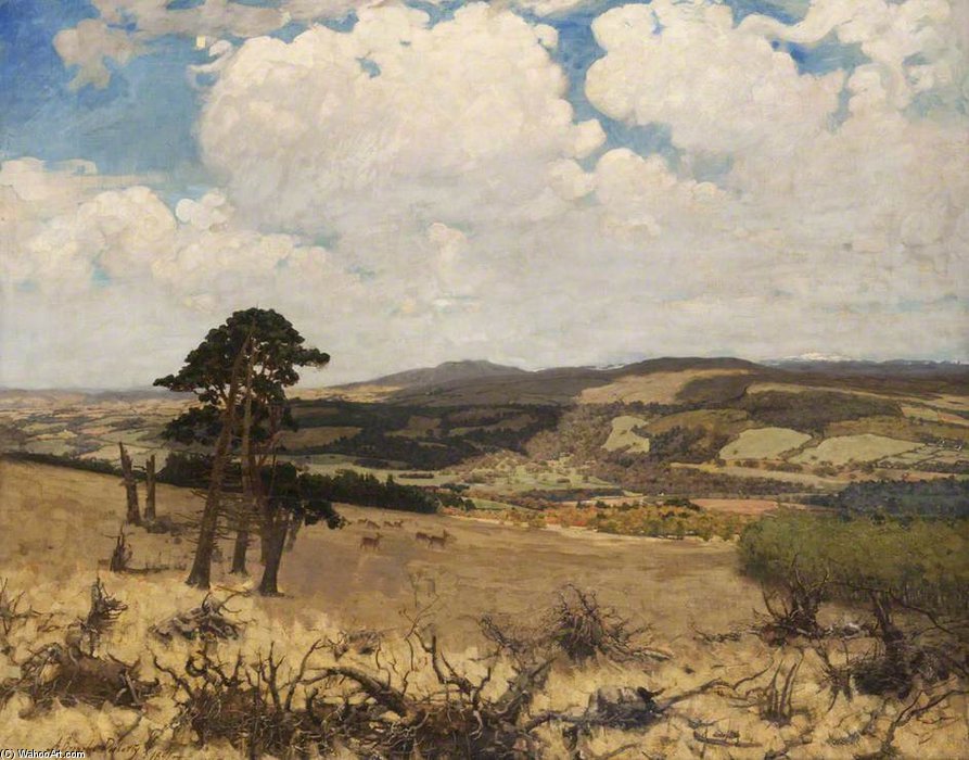 Wikioo.org - The Encyclopedia of Fine Arts - Painting, Artwork by Alexander Brownlie Docharty - Kilkerran