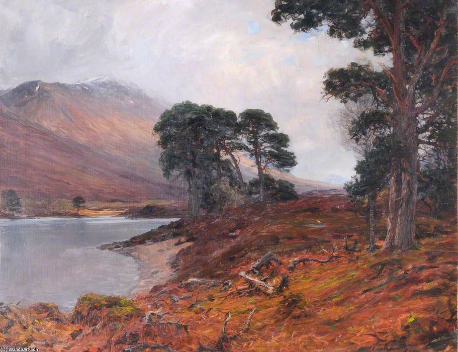 WikiOO.org - אנציקלופדיה לאמנויות יפות - ציור, יצירות אמנות Alexander Brownlie Docharty - Loch Tulla And Ben Doran