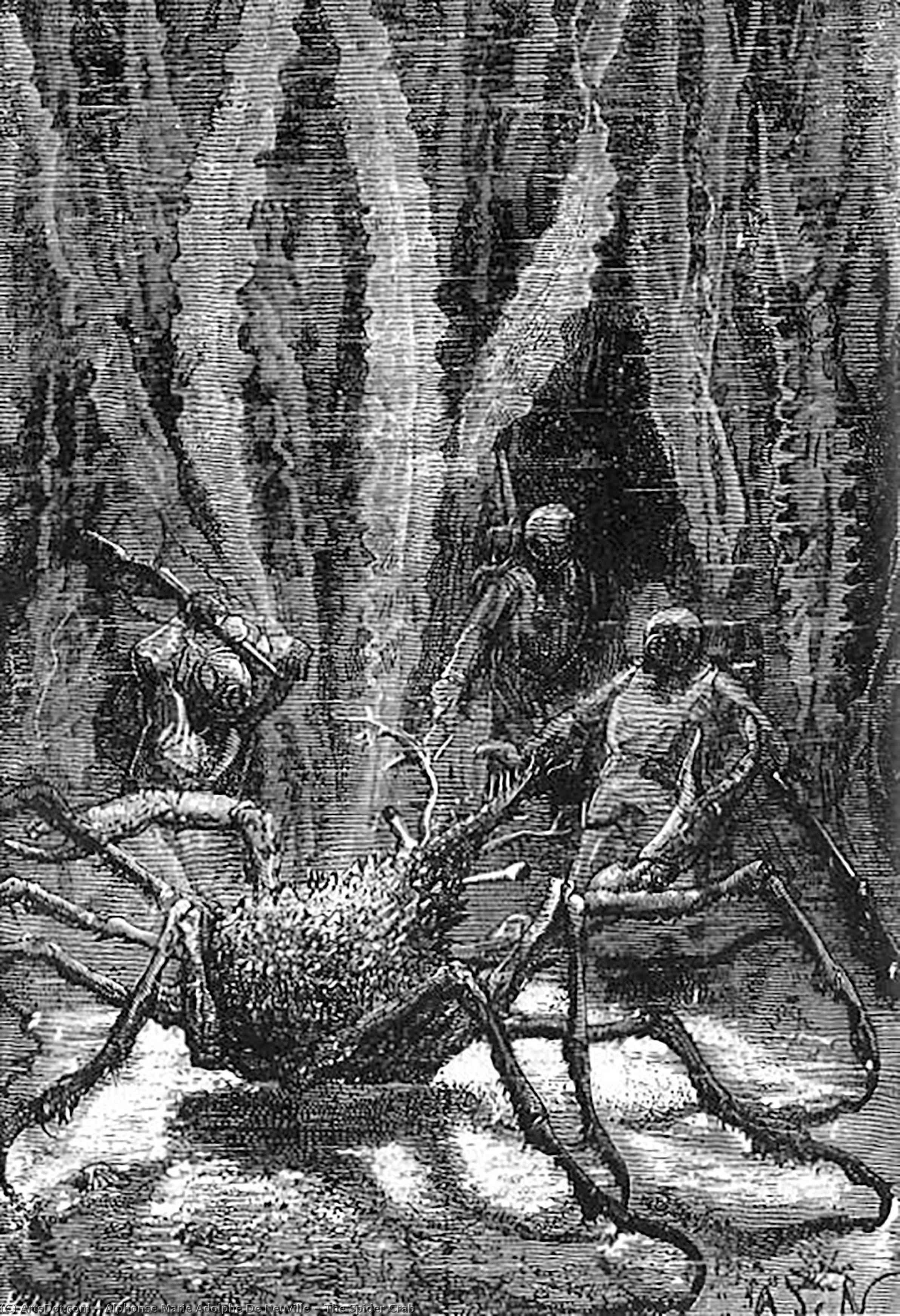 WikiOO.org - Enciklopedija dailės - Tapyba, meno kuriniai Alphonse Marie Adolphe De Neuville - The Spider Crab