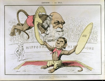 Wikioo.org - The Encyclopedia of Fine Arts - Painting, Artwork by Andre Gill - Caricature Of Charles Darwin And Emile Littre