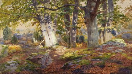 Wikioo.org - The Encyclopedia of Fine Arts - Painting, Artwork by Andrew Maccallum - Autumn Sunlight After Rain