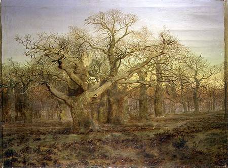 WikiOO.org - Enciclopedia of Fine Arts - Pictura, lucrări de artă Andrew Maccallum - The Edge Of Sherwood Forest