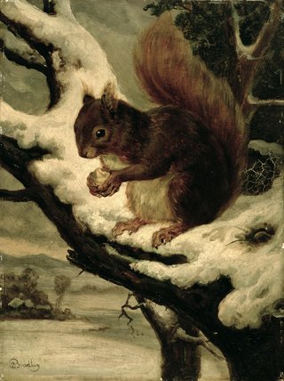 WikiOO.org - Enciklopedija dailės - Tapyba, meno kuriniai Basil Bradley - A Red Squirrel Eating A Nut