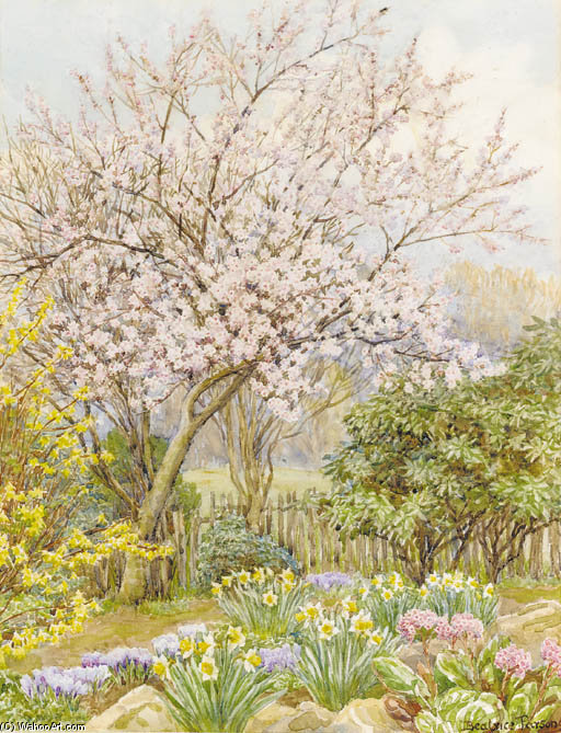 Wikioo.org - The Encyclopedia of Fine Arts - Painting, Artwork by Beatrice Parsons - Almond Blossom In Oxley, Hertfordshire