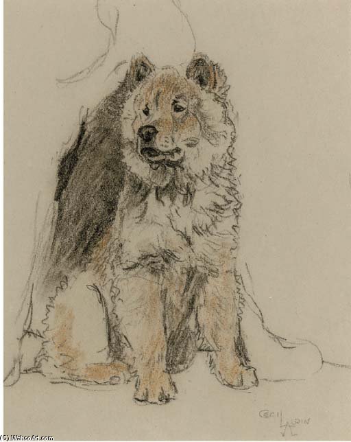 WikiOO.org - Encyclopedia of Fine Arts - Maleri, Artwork Beatrice Parsons - Study Of A Chow Chow