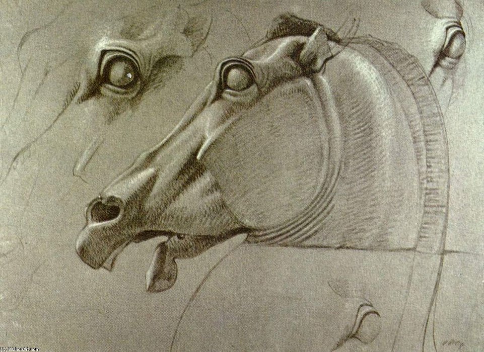Wikioo.org - The Encyclopedia of Fine Arts - Painting, Artwork by Benjamin Robert Haydon - Kopf Des Pferdes Der Selene