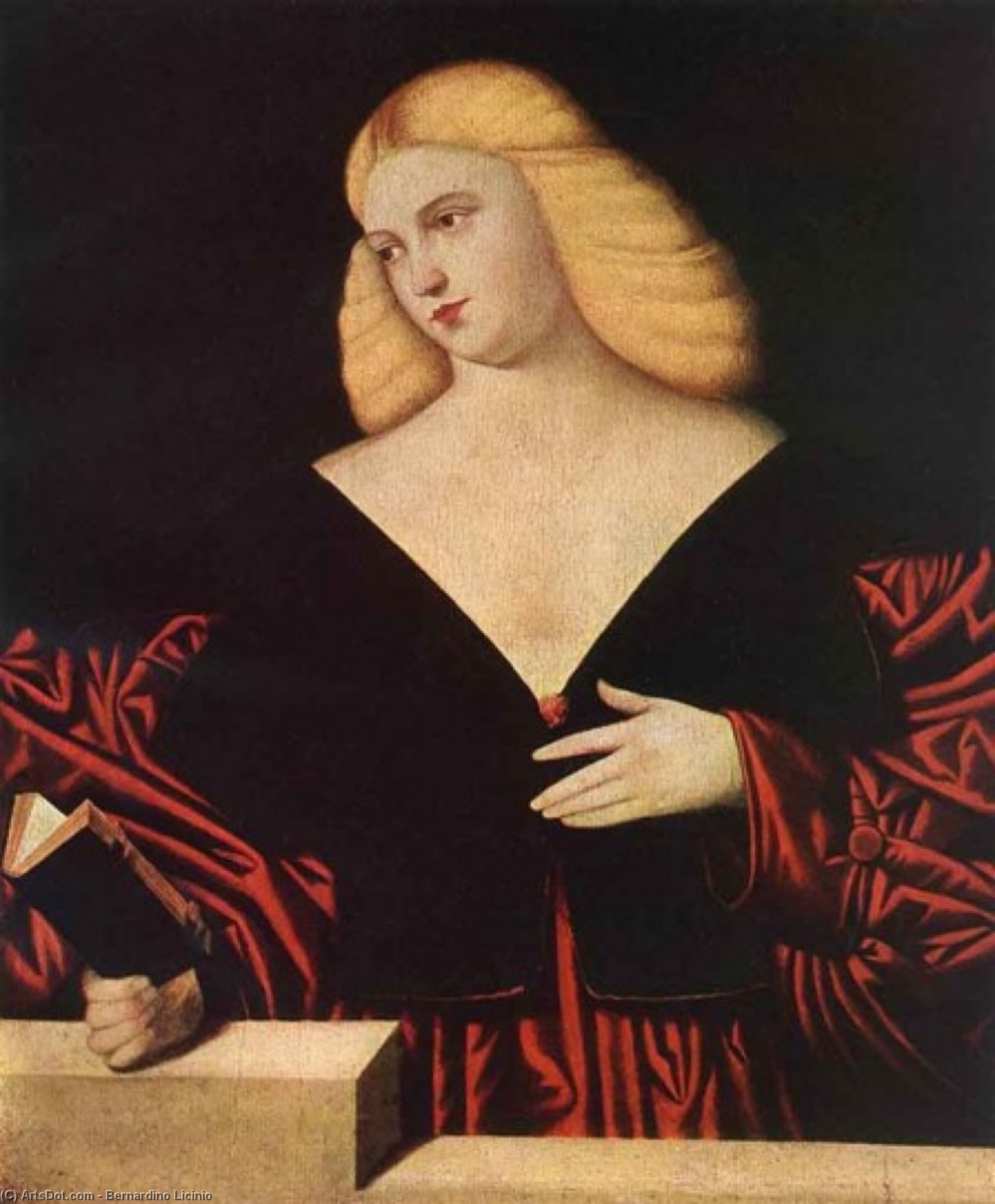 Wikioo.org - Bách khoa toàn thư về mỹ thuật - Vẽ tranh, Tác phẩm nghệ thuật Bernardino Licinio - Portrait Of A Woman_2