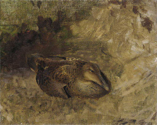 WikiOO.org - Encyclopedia of Fine Arts - Maleri, Artwork Bruno Andreas Liljefors - Study Of A Wild Duck