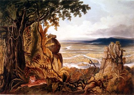WikiOO.org - Encyclopedia of Fine Arts - Maľba, Artwork Charles Bentley - The Comuti Or Taquiare Rock,