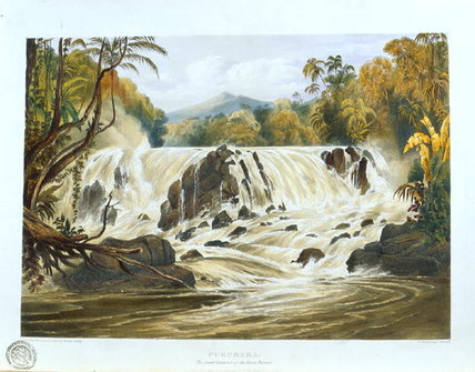 Wikoo.org - موسوعة الفنون الجميلة - اللوحة، العمل الفني Charles Bentley - The Great Cataract Of The River Parima