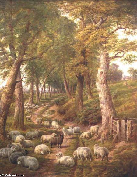Wikioo.org - The Encyclopedia of Fine Arts - Painting, Artwork by Charles Jones - Landscape With Sheep