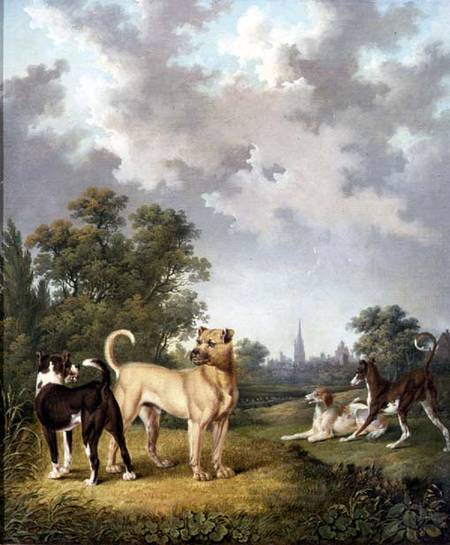 Wikioo.org – L'Encyclopédie des Beaux Arts - Peinture, Oeuvre de Charles Towne - Chiens En une paysage au