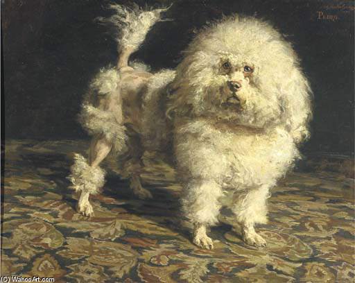 WikiOO.org - Encyclopedia of Fine Arts - Maleri, Artwork Charles Van Den Eycken - Pedro Portrait Of A Poodle