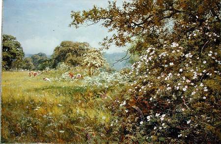 Wikioo.org - The Encyclopedia of Fine Arts - Painting, Artwork by Edward Wilkins Waite - A Summer Hedgerow