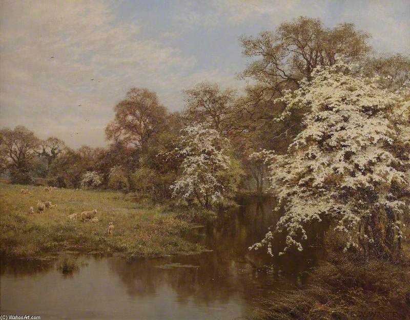 Wikioo.org - The Encyclopedia of Fine Arts - Painting, Artwork by Edward Wilkins Waite - Hawthorn Blossoms
