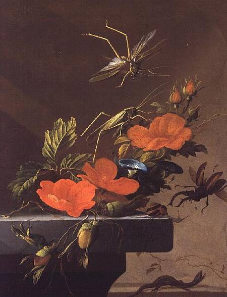Wikioo.org - The Encyclopedia of Fine Arts - Painting, Artwork by Elias Van Den Broeck - A Bouquet Of Roses, Morning Glory And Hazelnuts With Grasshoppers, Stag Beetle And Lizard