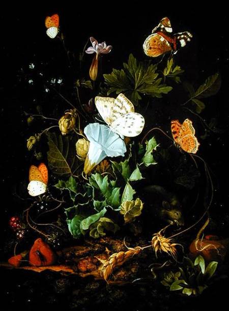 WikiOO.org - Enciclopédia das Belas Artes - Pintura, Arte por Elias Van Den Broeck - Still Life Of A Forest Floor With Flowers, A Mouse And Butterflies